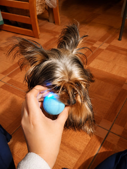 Pelota Saltarína